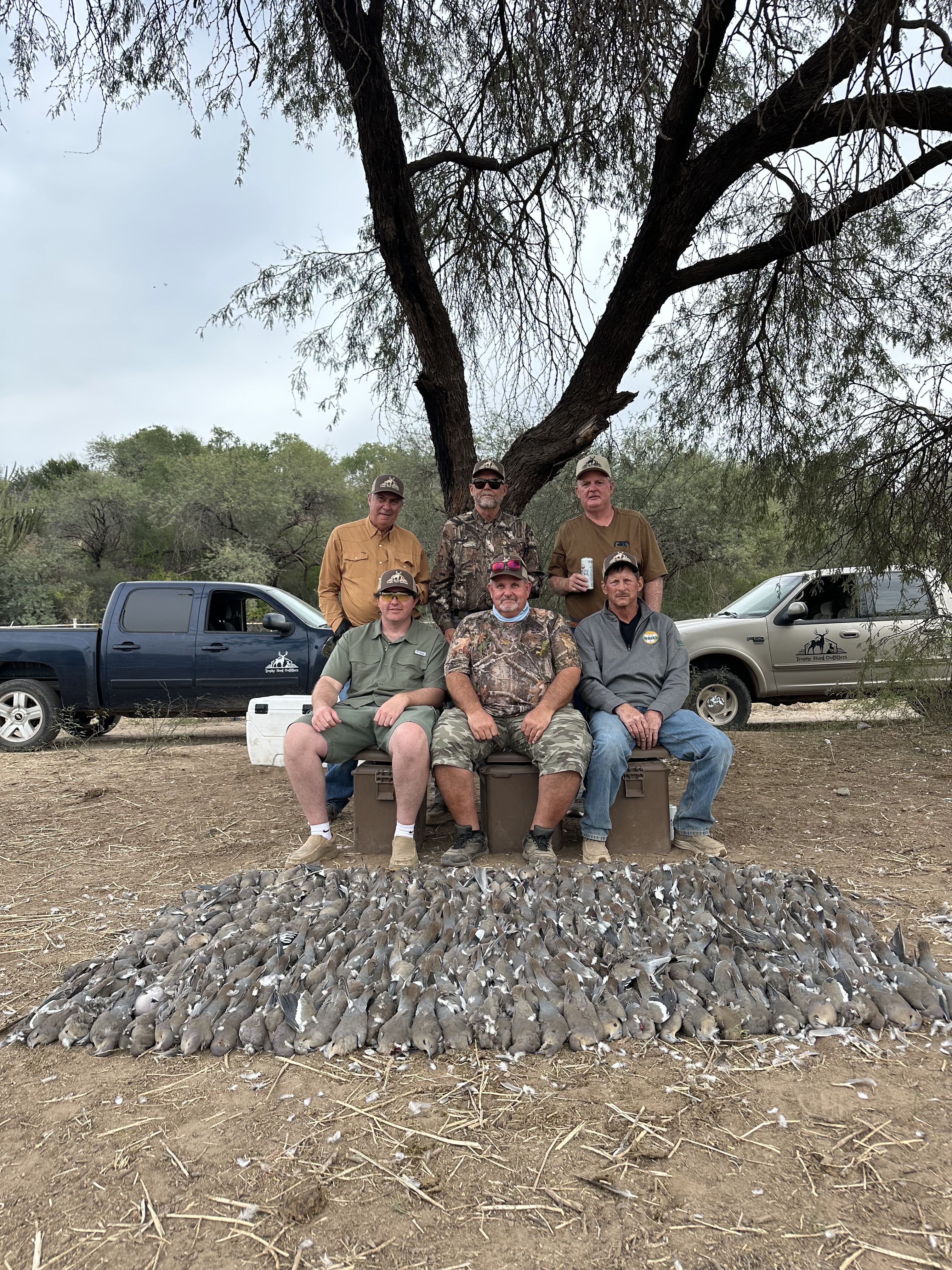 Dove Hunts