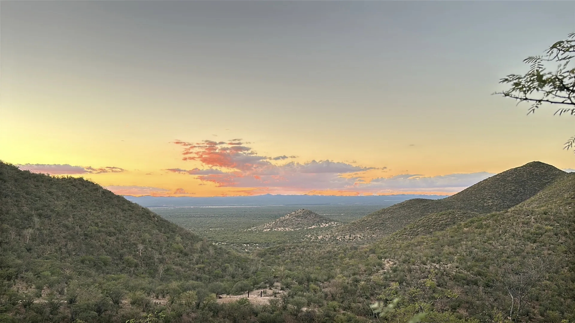 Sonoran sunset